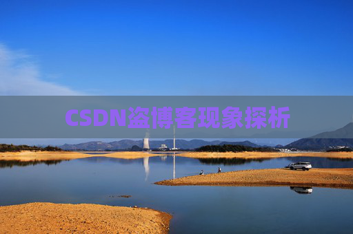 CSDN盗博客现象探析 CSDN盗博客现象探析